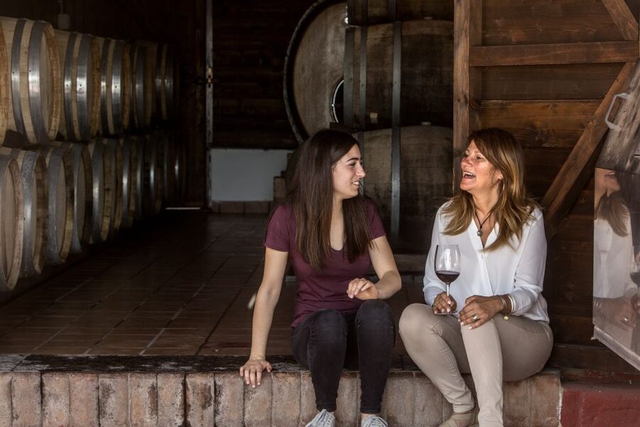 Mount Vesuvius: Vineyard Tour with Wine Tasting and Lunch - The journey is the main planning challenge