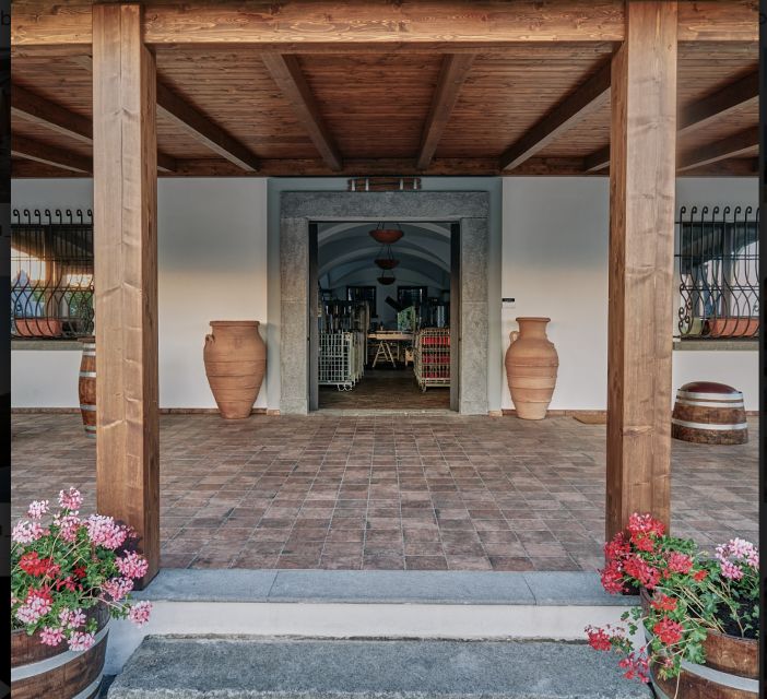 Mount Vesuvius: Vineyard Tour with Wine Tasting and Lunch - Is $65 good value?