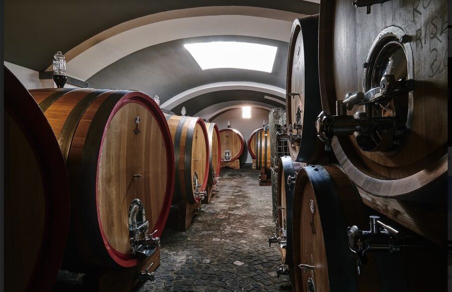 Mount Vesuvius: Vineyard Tour with Wine Tasting and Lunch - Who will enjoy this most