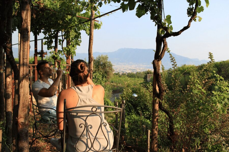 Naples: Pompeii and Herculaneum Tour with Tickets and Lunch - Starting in Naples and riding to Pompeii