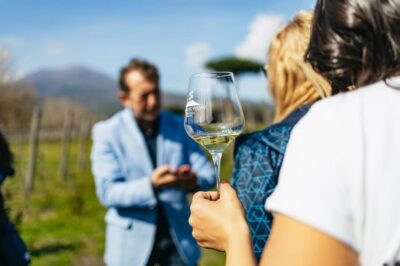 Naples: Pompeii and Mt. Vesuvius with Lunch and Wine Tasting