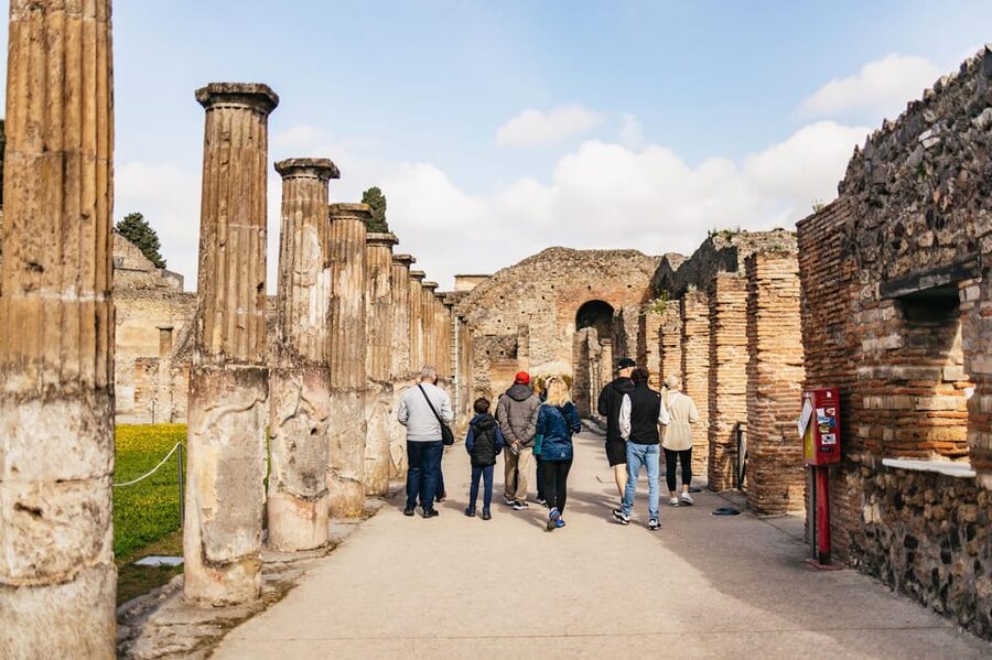 Naples: Pompeii and Mt. Vesuvius with Lunch and Wine Tasting - Who should book this tour?