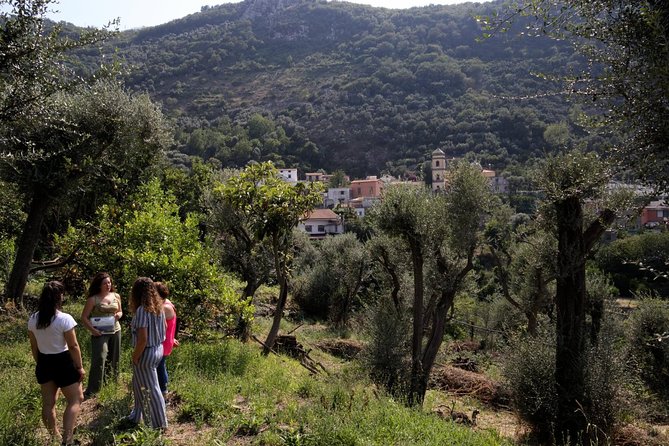 Olive oil tasting in Sorrento - Homemade liqueurs and the terrace