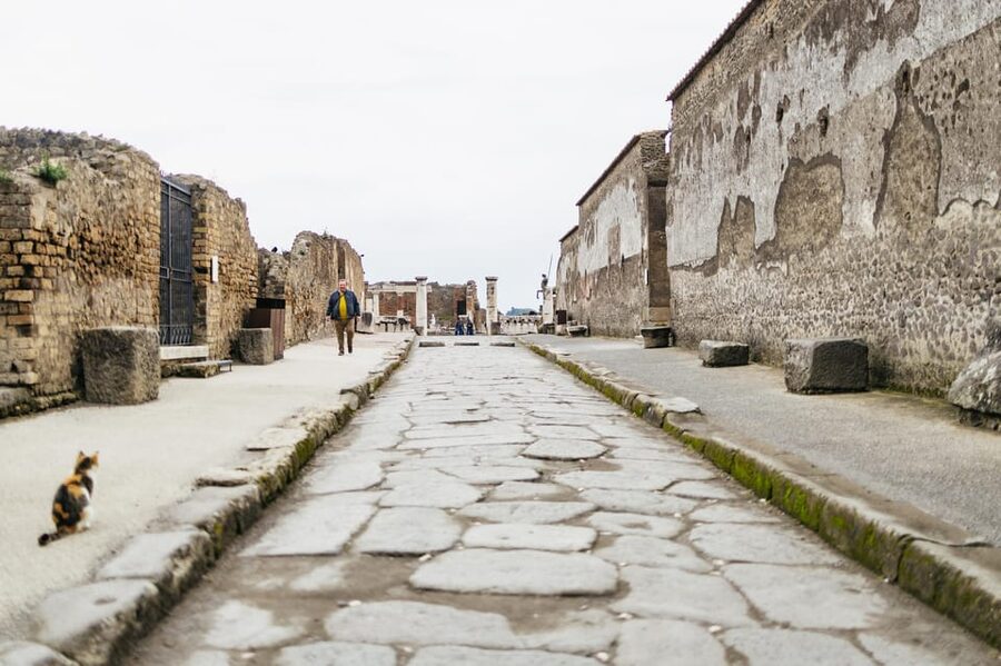 Pompeii: Afternoon to Sunset Guided Tour with Ticket - Who should book this Pompeii walk?