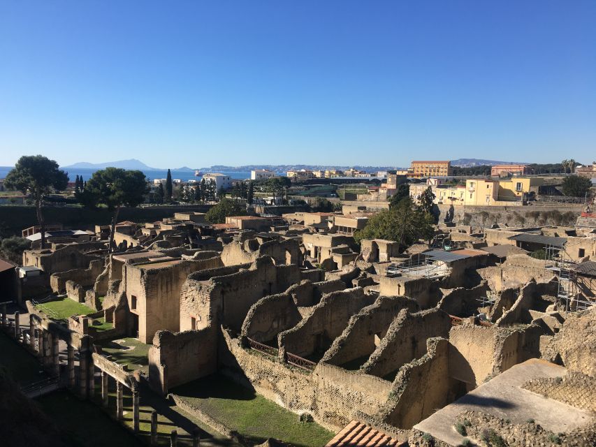 Pompeii and Herculaneum: Guided Tour with an Archaeologist - Should you book it?