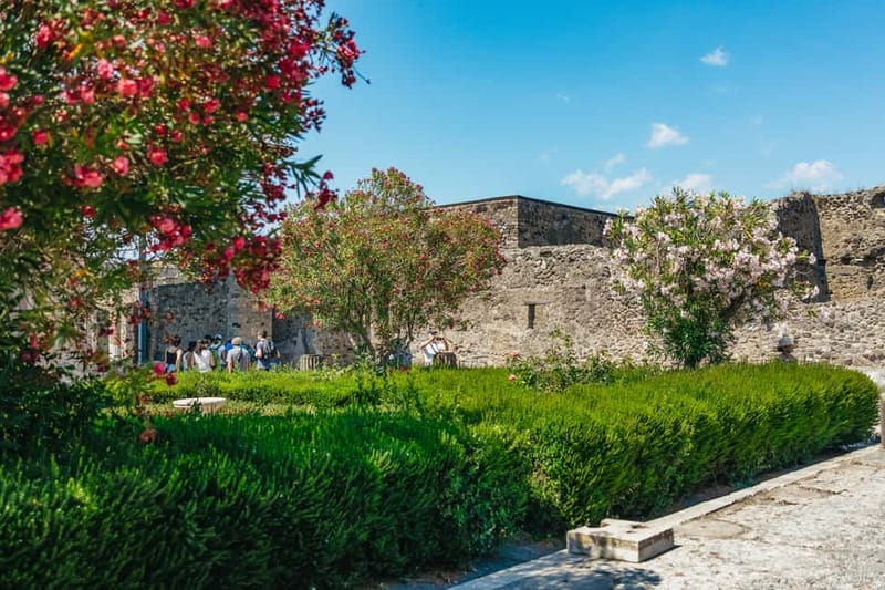 Pompeii: Archaeological Park Tour with Ticket on request - The amphitheater, small theater, and gymnasium