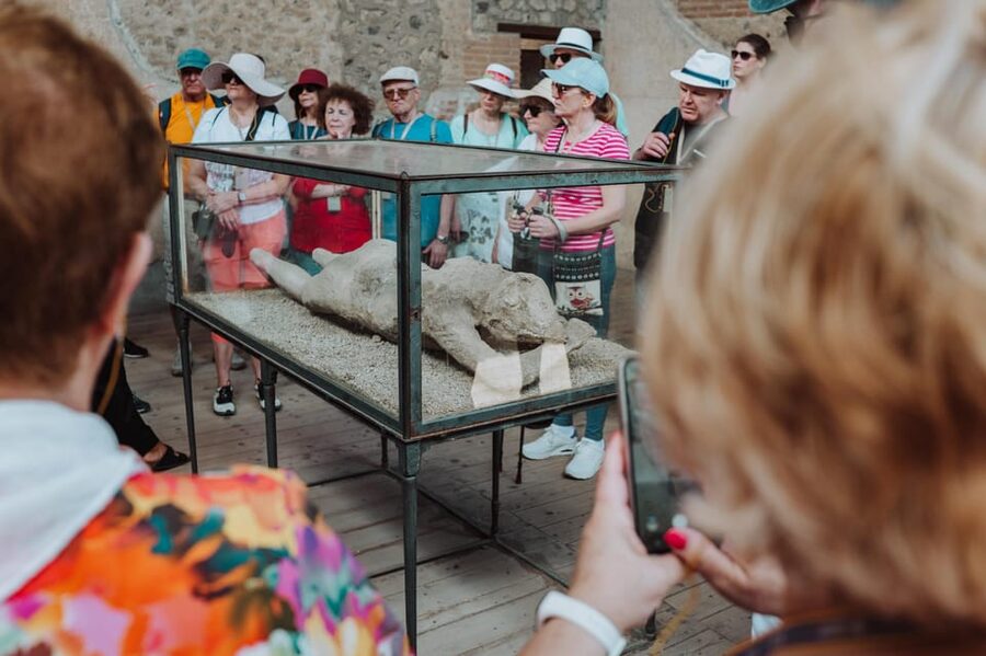 Pompeii: Entry Ticket and Guided Tour with an Archaeologist - Plaster casts and the human cost of the eruption