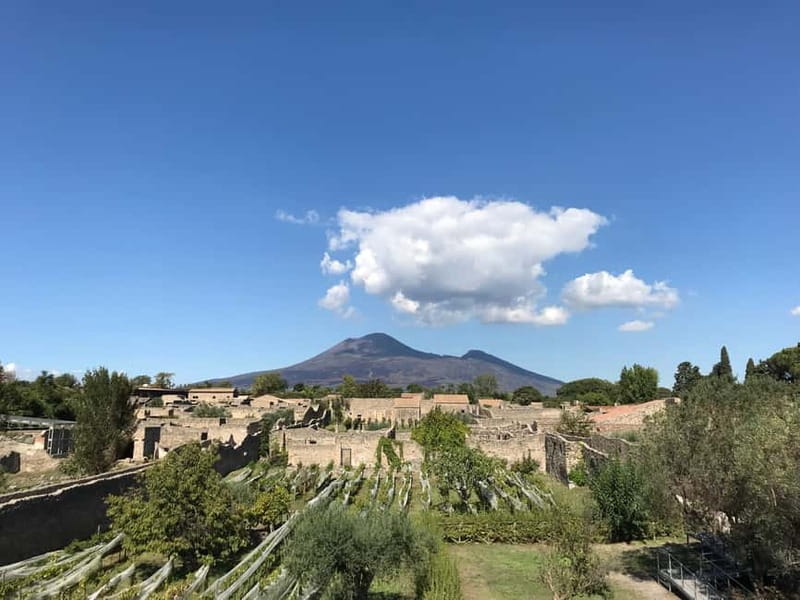 Pompeii: Exclusive Tour with Archaeologist and Entry Tickets - Meeting at Porta Marina, steps from the train