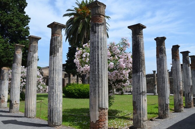 Pompeii: Guided Small Group Tour Max 6 People with Private Option - Choosing a Time and Language