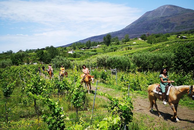 Pompeii Guided Tour & Horse Riding on Vesuvius with Lunch - The horse ride follows vineyard trails, not the crater