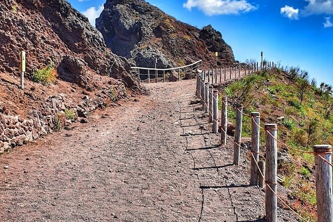 Pompeii & Mount Vesuvius Tour with Guided Visit, Tickets & Lunch - The Forum and its working city
