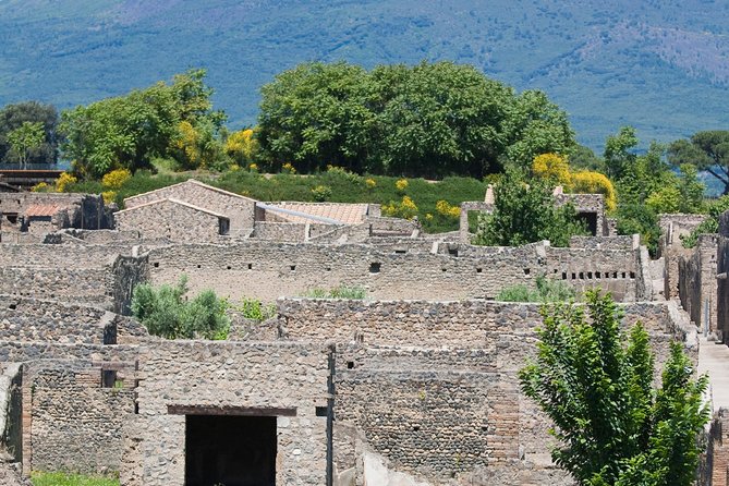 Pompeii Ruins Half-Day Tour from Sorrento with Guide - Is $97.82 good value?