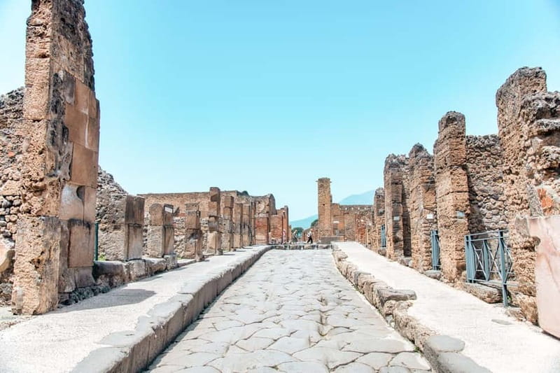 Pompeii Ruins Private Tour with Optional Skip-the-Line Entry - The casts and the human cost