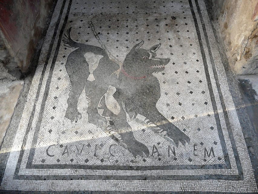 Pompeii: Skip-the-Line Entry & Audioguide - Start with Pompeii’s forum and Vesuvius