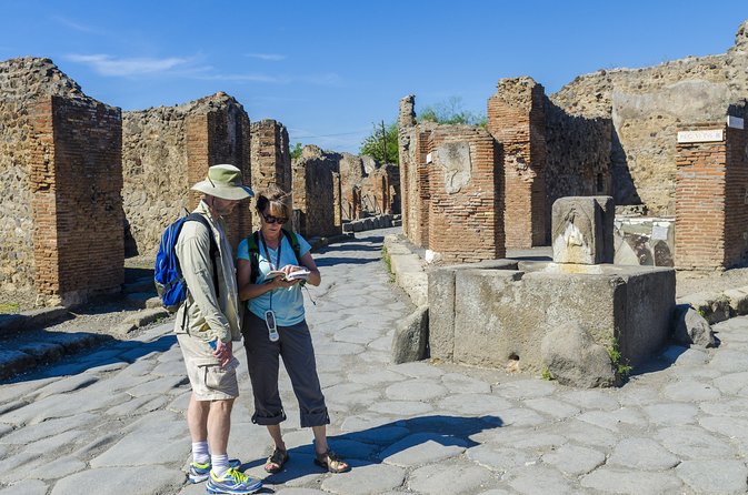 Pompeii Small Group Tour with an Archaeologist - Walking the streets to the House of Menander