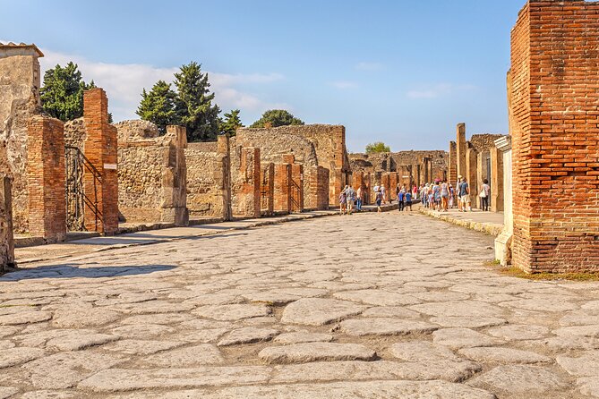 Pompeii Ticket + Tour with Optional Tasting Experience at Pompeii - Meeting point, terrain, and timing