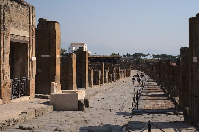 Pompeii Tour & Lunch with Wine Tasting Experience - Should you book this tour?