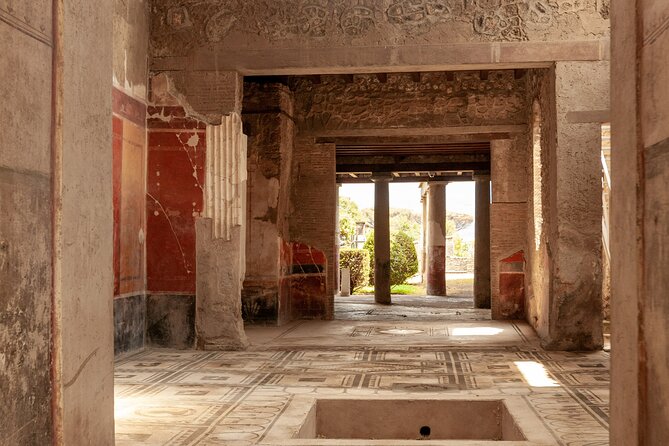 Pompeii Tour & Lunch with Wine Tasting Experience - From the ruins to the slopes of Vesuvius
