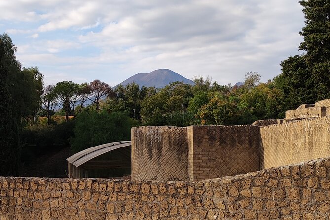 Pompeii: Tour with Archaeologist Guide & Skip-the-Line Entry - Reading the House of Menander and the thermopolium