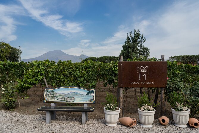 Pompeii Vineyard Escape: Private Wine Tasting & Lunch - A Short Tour, Then a Proper Pompeii Lunch