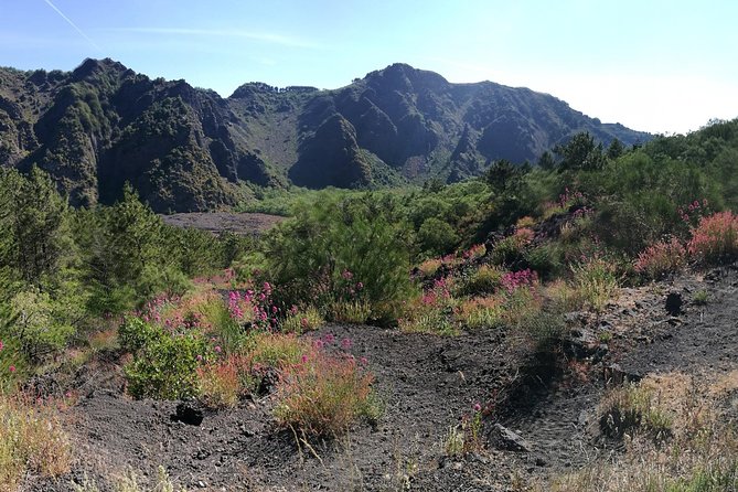 Private Day Tour to Vesuvius, Herculaneum & Pompeii with Pick Up - The long schedule and what the price covers