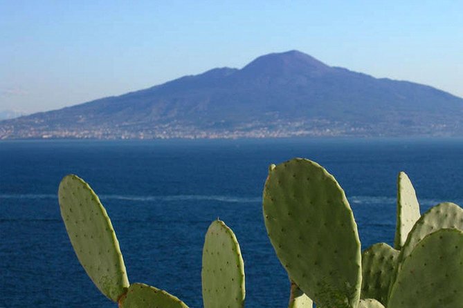 Secrets Walks of Sorrento with a Local - Sea views, fishing lanes, and the old town