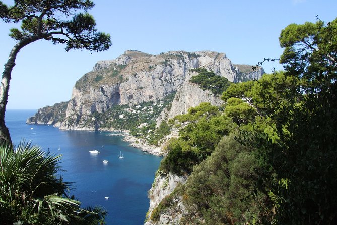 Shared Capri & Anacapri Full-Day Tour from Sorrento - Monte Solaro and the chairlift choice