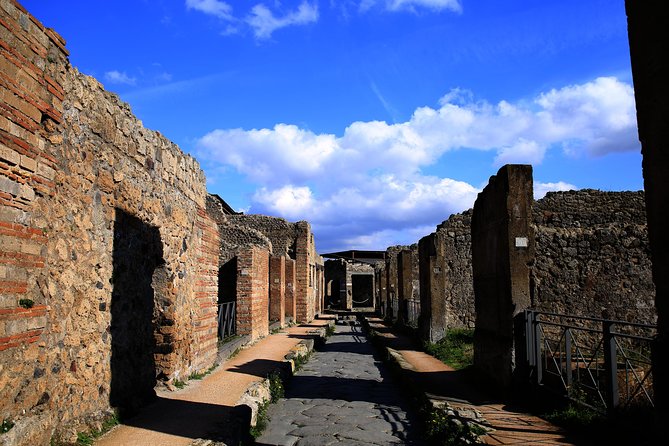 Skip the Line Guided Tour of Pompeii led by an Archaeologist - Who should book this Pompeii tour?