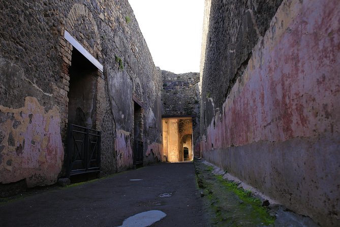 Skip the Line Guided Tour of Pompeii led by an Archaeologist - FAQ