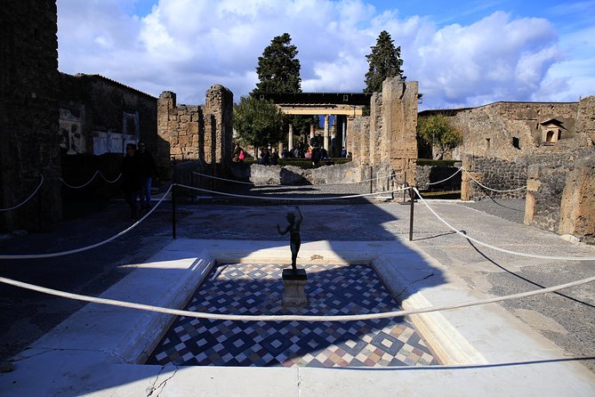Skip-the-Line Half-Day Private Tour Ancient Pompeii Highlights with Native Guide - A brisk tour, not a full day in Pompeii