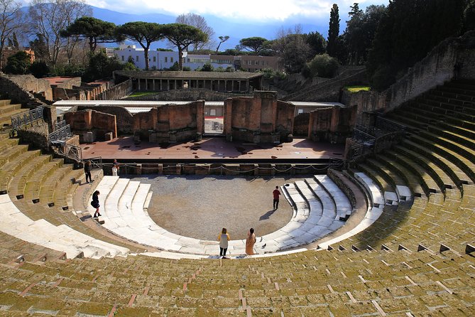 Skip-the-Line Half-Day Private Tour Ancient Pompeii Highlights with Native Guide - What the $83.48 price buys you