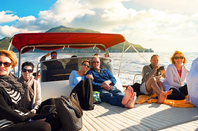 Small Group Boat Tour: Day Cruise from Sorrento to Capri - Four hours on land: choose your priorities