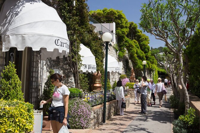 Small Group Tour from Sorrento to Blue Grotto, Anacapri and Capri - Weather, crowds and choosing your season