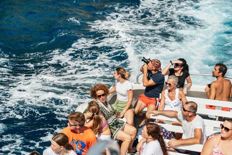Sorrento: Coast and Capri Boat Trip with Limoncello Tasting - The guide can make the day easier