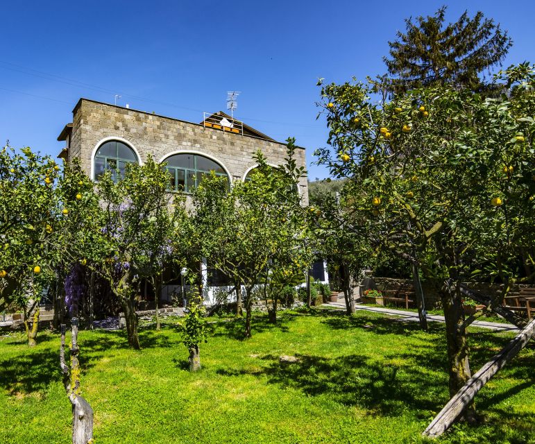 Sorrento: Coast E-Bike Tour with Limoncello Tasting - Is $88 a fair price?