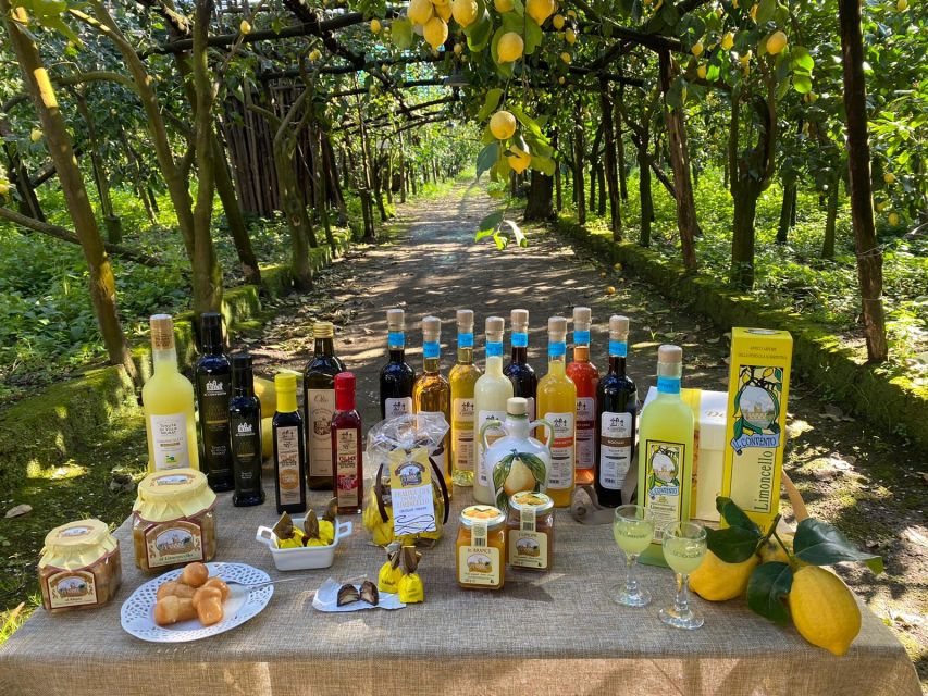 Sorrento: Coast E-Bike Tour with Limoncello Tasting - What the e-bike changes, and what it does not
