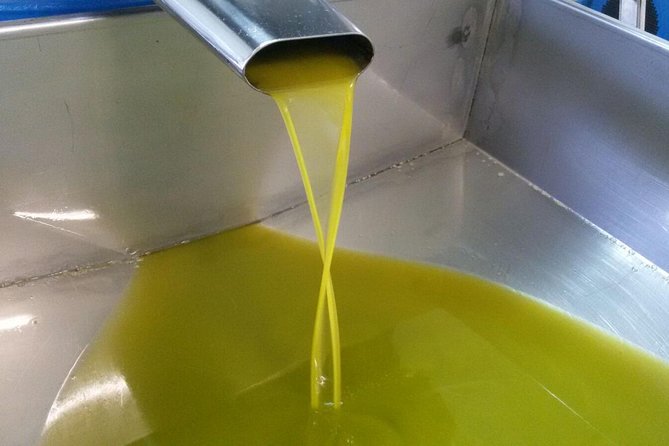 Sorrento Farm and Food Experience including Olive Oil, Limoncello, Wine tasting - Walking among lemon and olive trees