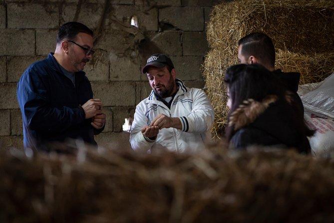 Sorrento Farm by Tuk Tuk: Cheese, Limoncello & Hands-On Pizza - What the Price Includes, and Who Gets Good Value