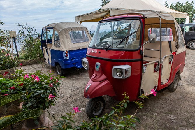 Sorrento Farm by Tuk Tuk: Cheese, Limoncello & Hands-On Pizza - Practical Details Before You Book