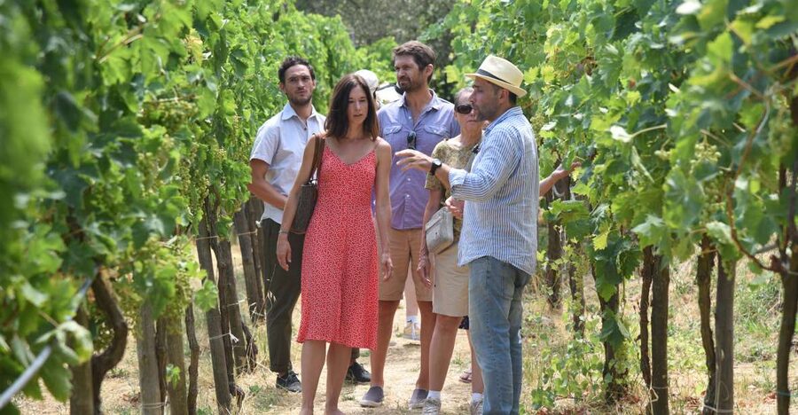 Sorrento: Farm Tour with Cheese Tasting & Pizza Making Class - What makes this farm visit worth your time
