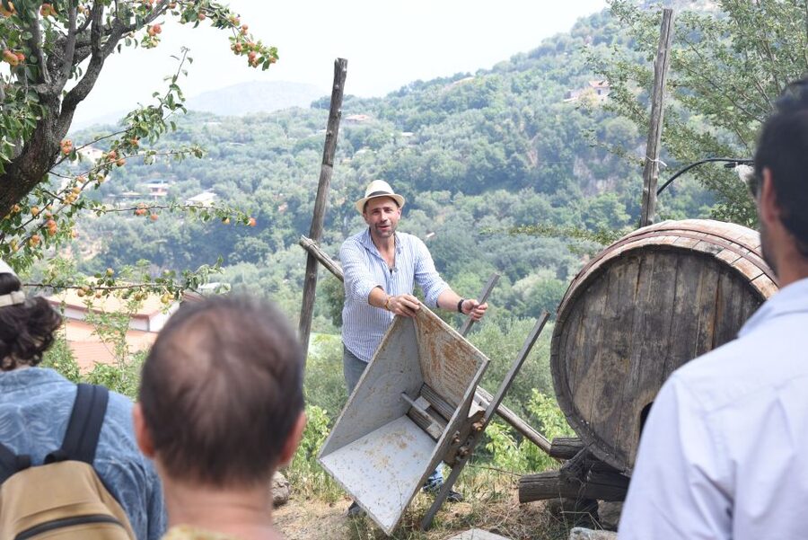 Sorrento: Farm Tour with Cheese Tasting & Pizza Making Class - Watching mozzarella and caciotta take shape