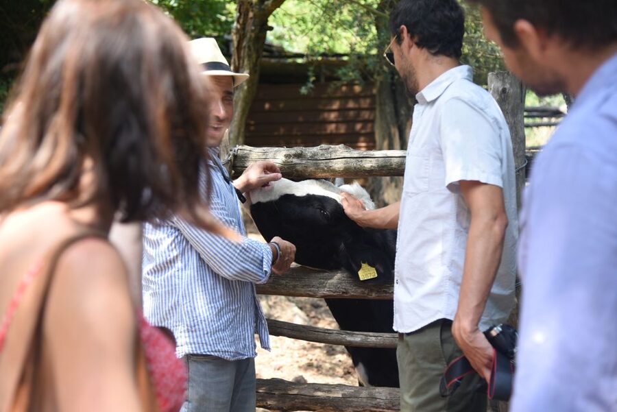 Sorrento: Farm Tour with Cheese Tasting & Pizza Making Class - Making pizza, then eating it at the farm table