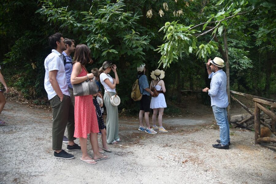 Sorrento: Farm Tour with Cheese Tasting & Pizza Making Class - Wine, olive oil and a little limoncello