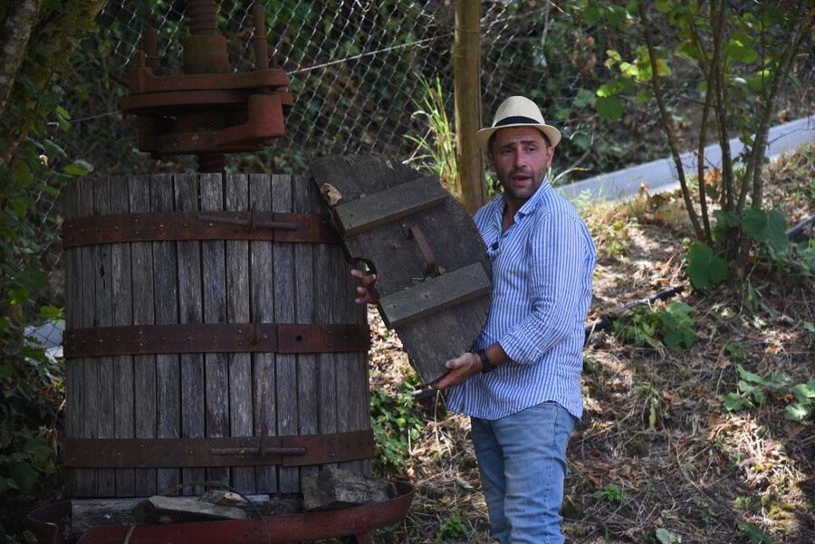 Sorrento: Farm Tour with Cheese Tasting & Pizza Making Class - The practical details that make the day easier