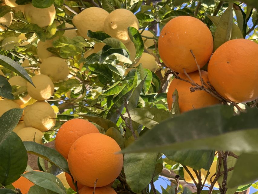 Sorrento: Lemon Garden Tour with Marmalade Tasting - FAQ