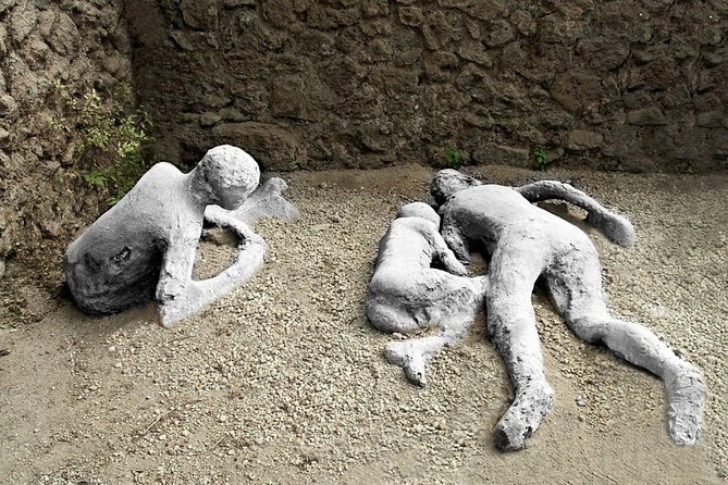 Stories of Pompeii: Small Group tour with archeology expert guide - Price and what you get for $54.44